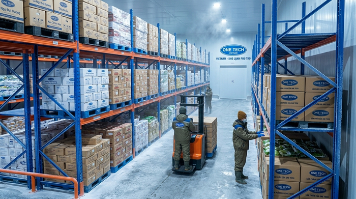 Hệ thống kệ kho lạnh Phú Thọ cho kho công nghiệp